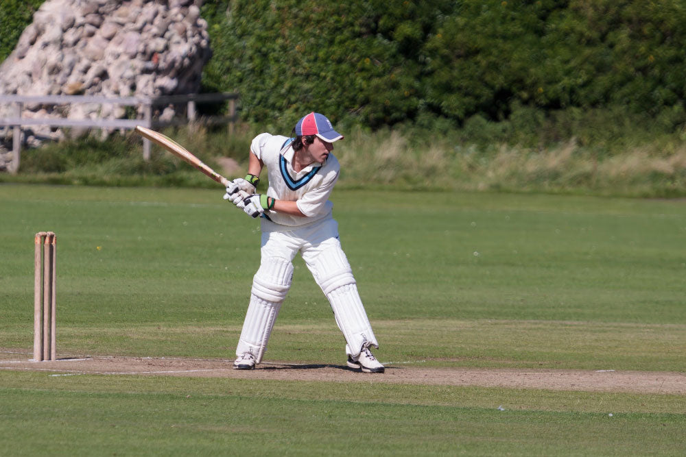 Cricket Bat Maintenance Protection