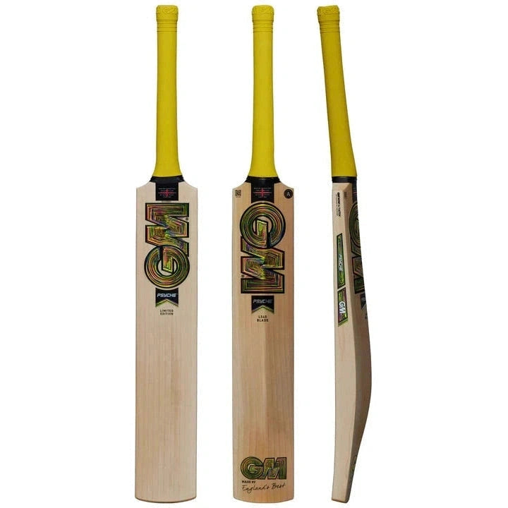 GM Psysche DXM 909 TTNow Adult Cricket Bat