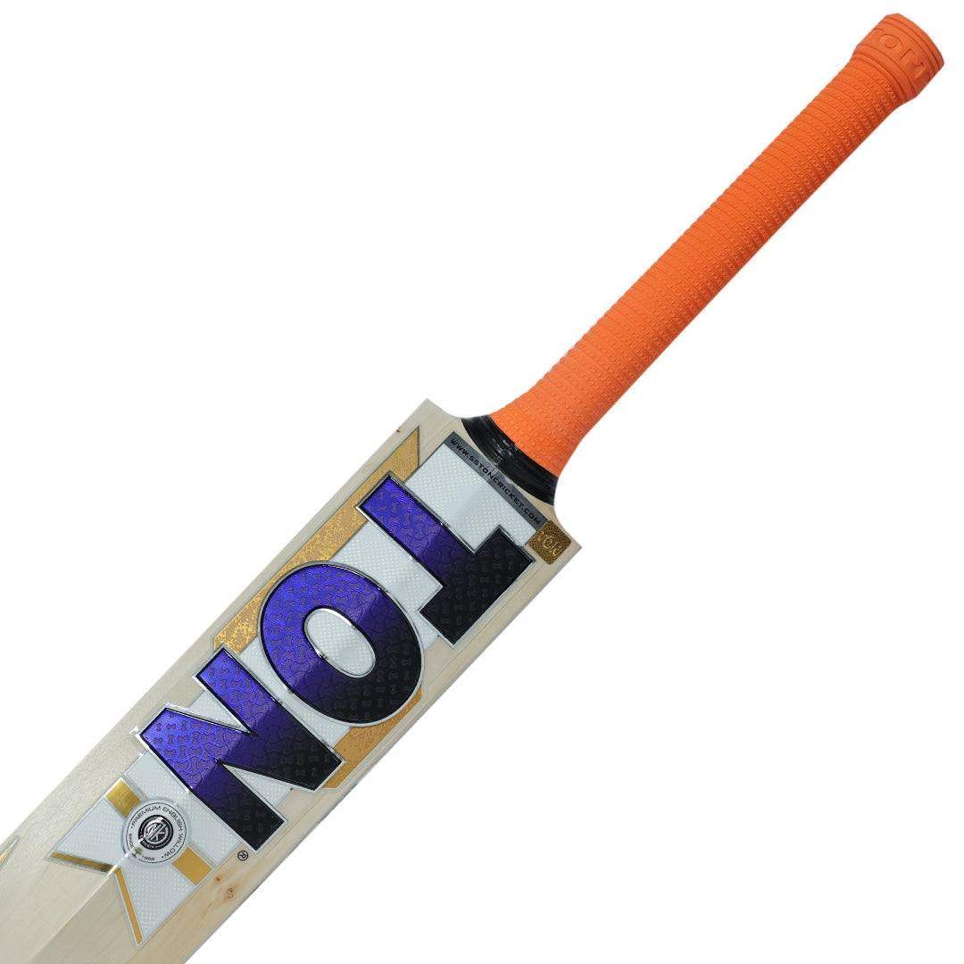 SS Dhoni Thala Adult Cricket Bat
