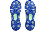 ASICS 350 Not Out FF Men’s Cricket Shoes – Premium All-Rounder Cricket Spikes