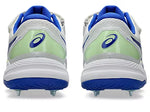 ASICS GEL-Speed Menace FF Men’s Spike Cricket Shoes – Fast Bowler Cricket Spikes
