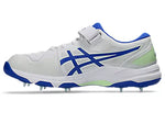 ASICS GEL-Speed Menace FF Men’s Spike Cricket Shoes – Fast Bowler Cricket Spikes