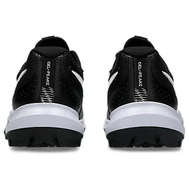 ASICS GEL-PEAKE 3 Men’s Cricket Rubber Shoes – Men’s Hardwicket Cricket Shoes