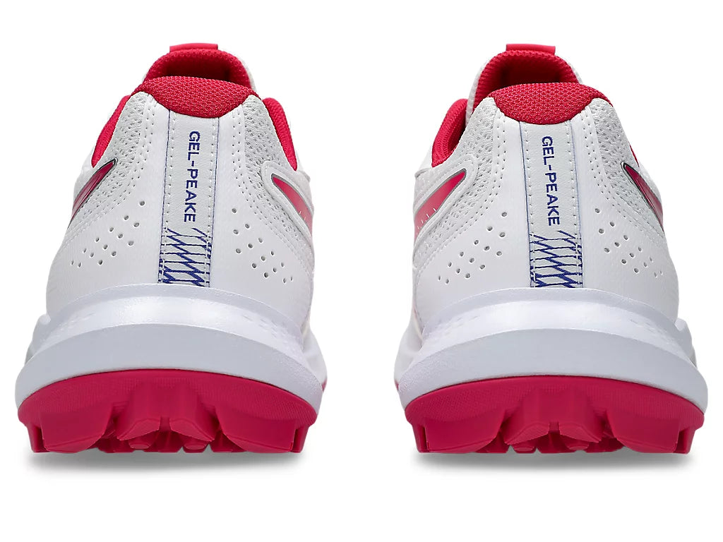 Asics Gel Peake 3 Mens Cricket Rubber Shoes