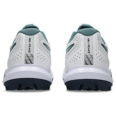 ASICS GEL-PEAKE 3 Men’s Cricket Rubber Shoes – Men’s Hardwicket Cricket Shoes