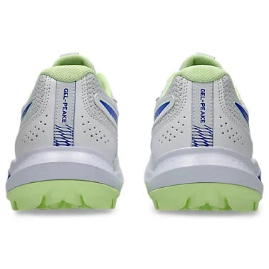 ASICS GEL-PEAKE 3 Men’s Cricket Rubber Shoes – Men’s Hardwicket Cricket Shoes