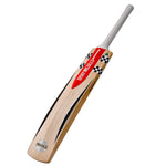 Gray Nicolls Prestige Adult Cricket Bat (Play Now)