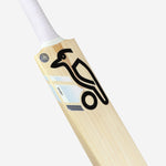 Kookaburra Ghost Pro Players Adult Cricket Bat 2024