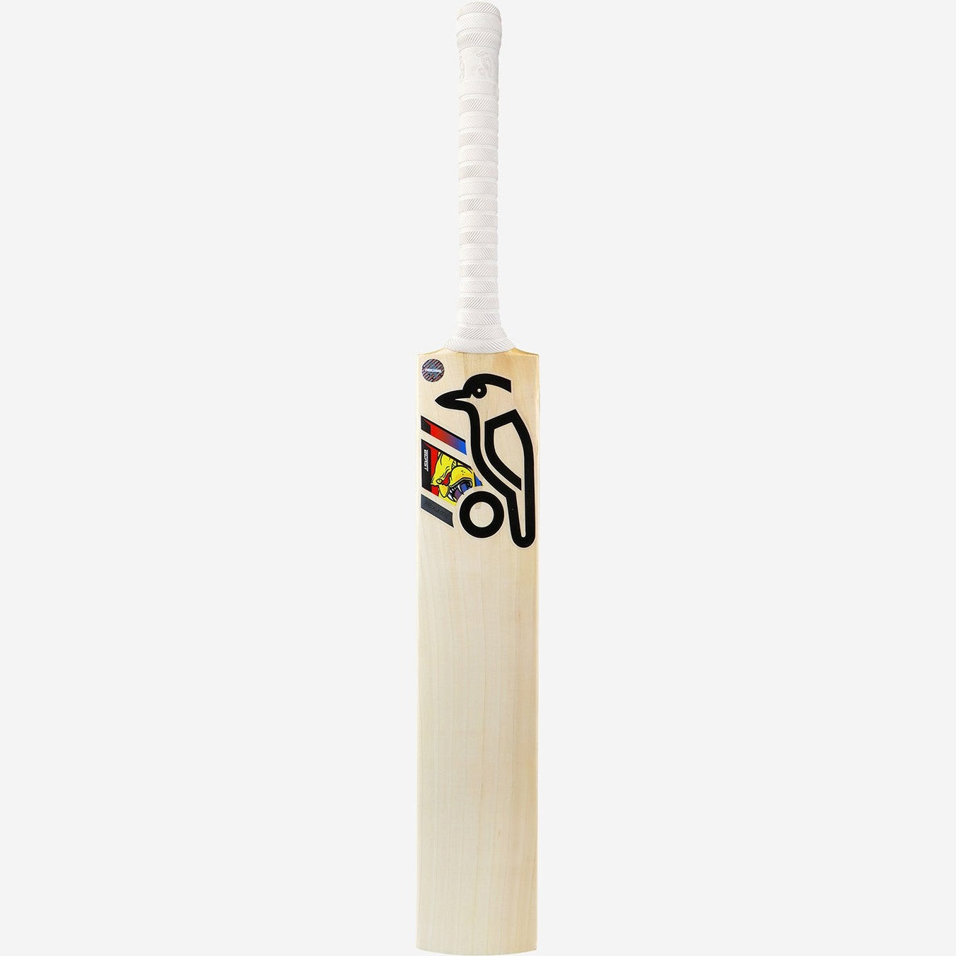Kookaburra Beast Glen Maxwell Replica Cricket Bat Senior 2024