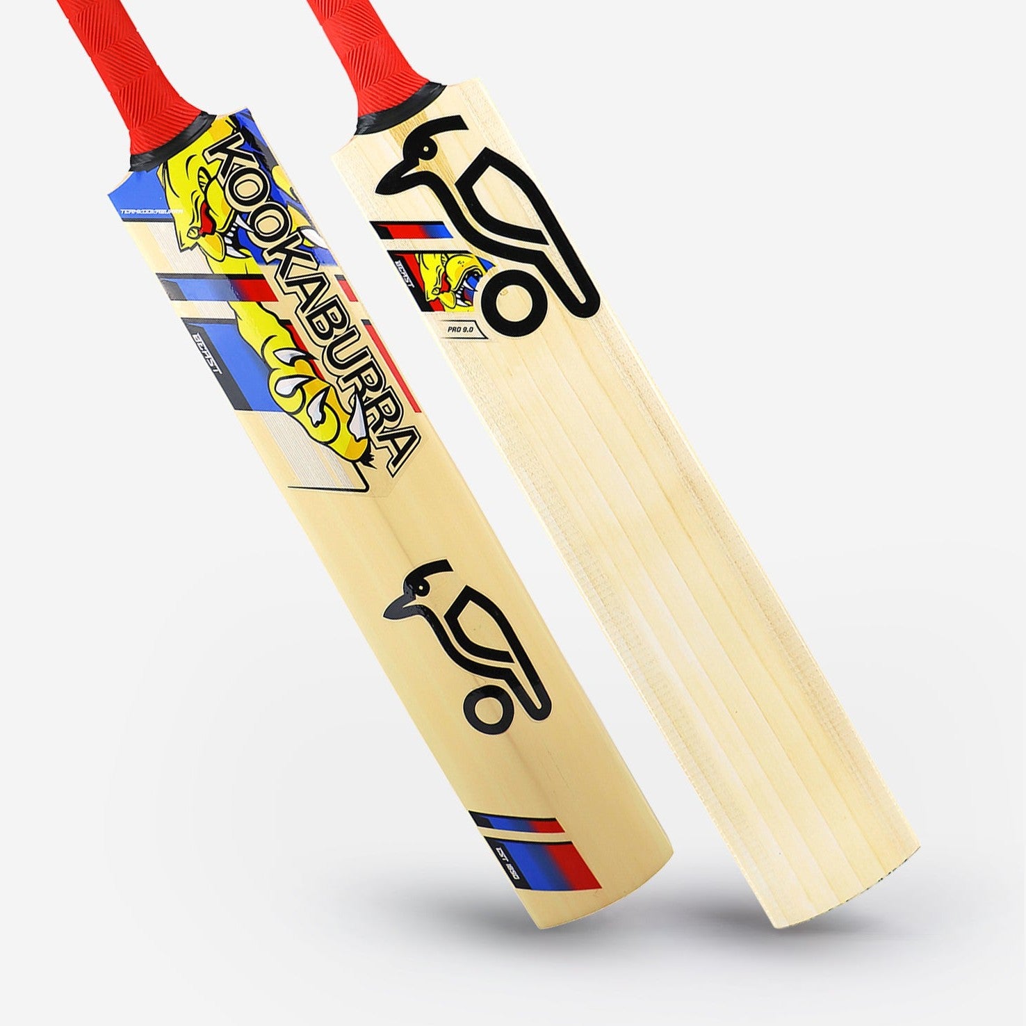 Kookaburra Beast Pro 9.0 Kashmir Junior Cricket Bat