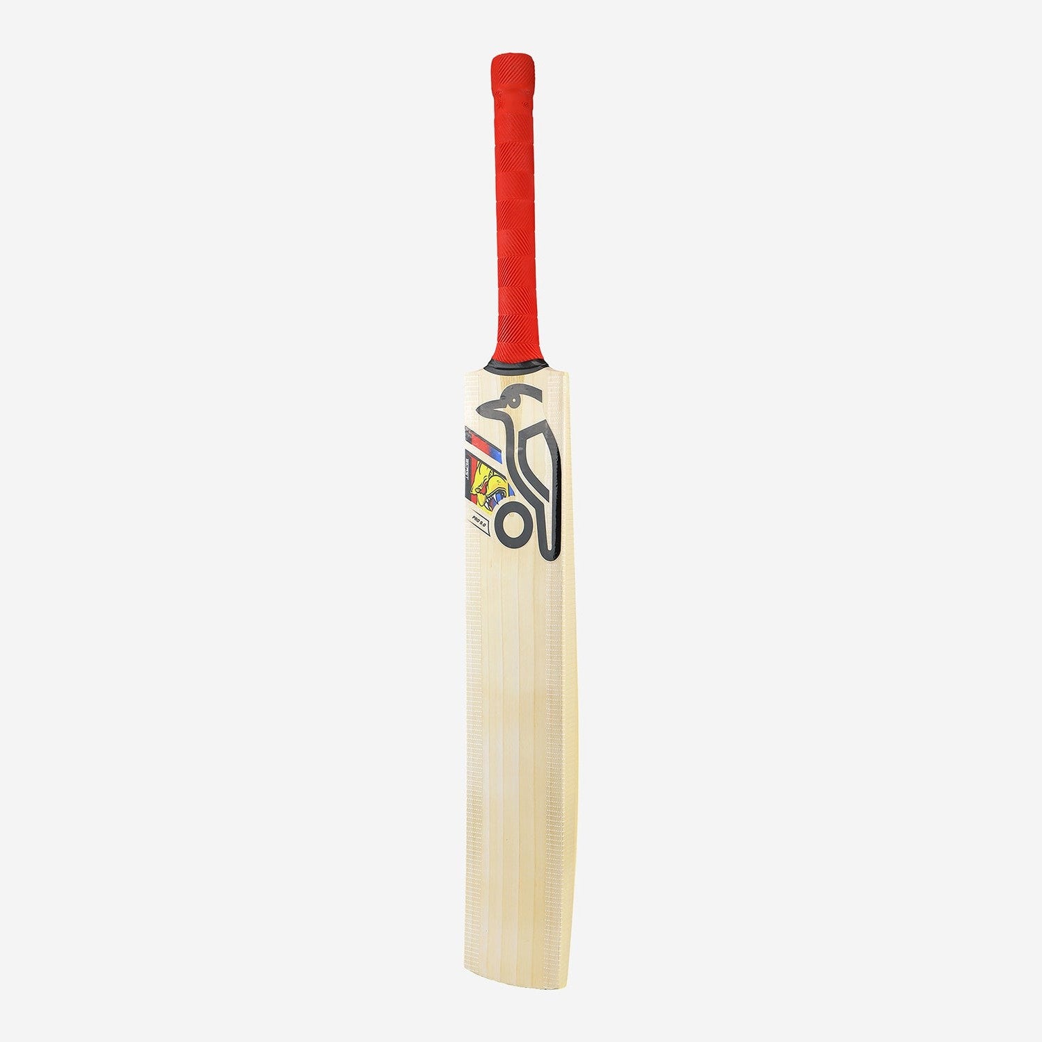 Kookaburra Beast Pro 9.0 Kashmir Junior Cricket Bat
