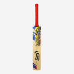 Kookaburra Beast Pro 9.0 Kashmir Junior Cricket Bat