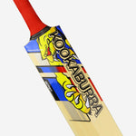 Kookaburra Beast Pro 9.0 Kashmir Junior Cricket Bat