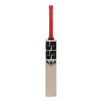 SS Professional Adult Cricket Bat