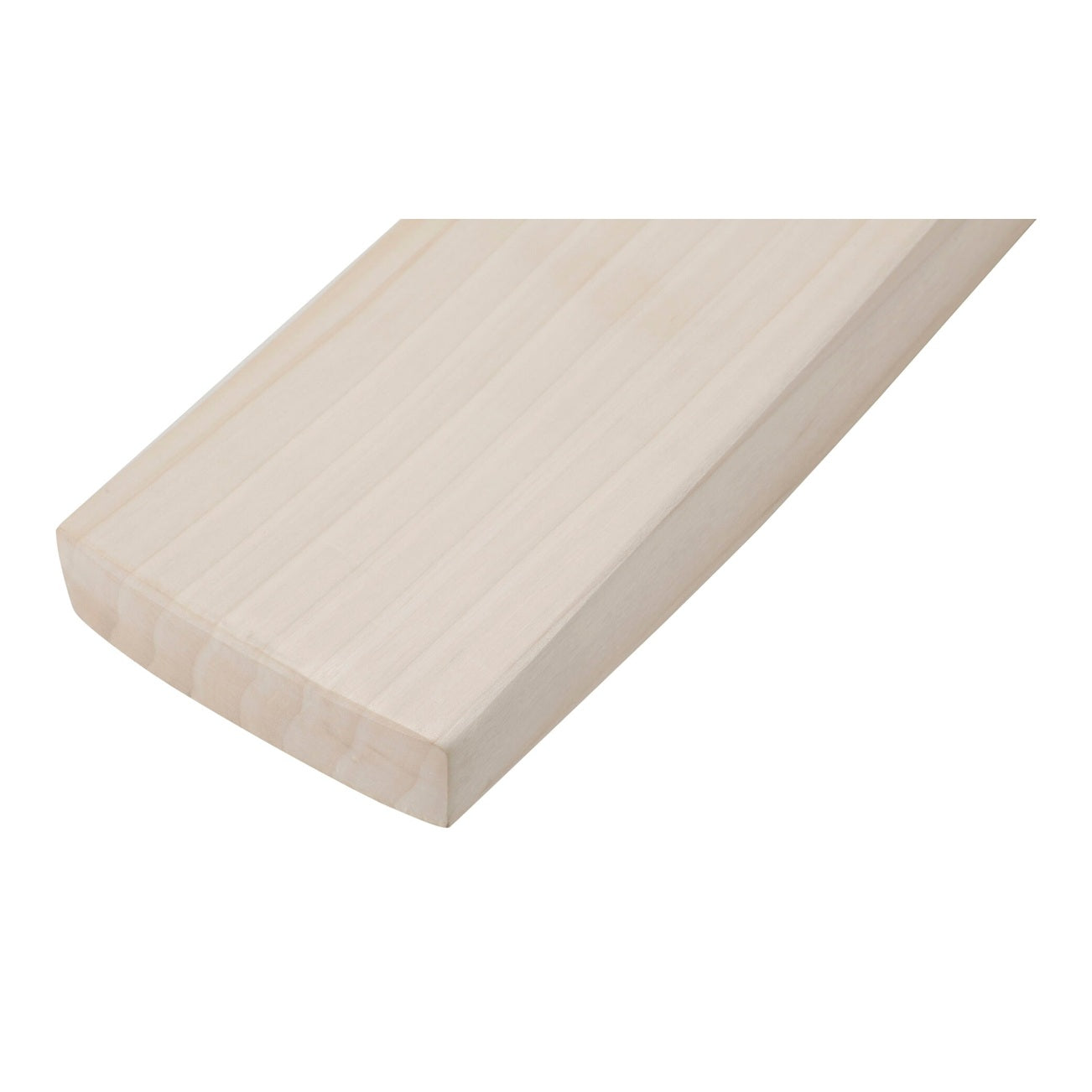 SS Professional Adult Cricket Bat