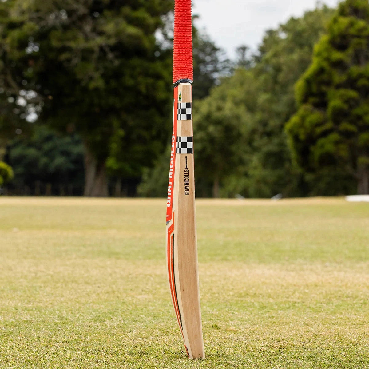 GN Astro 1300 Ready Play Adult Cricket Bat