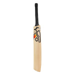 Kookaburra Diablo Pro 8.1 Junior Cricket Bat 2026 – Kashmir Willow Junior Bat
