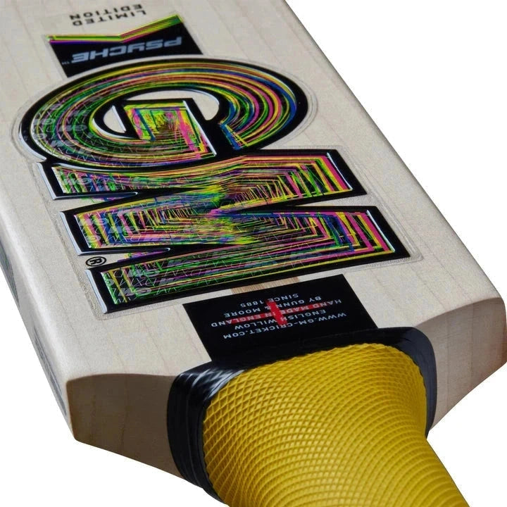 GM Psyche DXM 808 TTNow Junior Cricket Bat