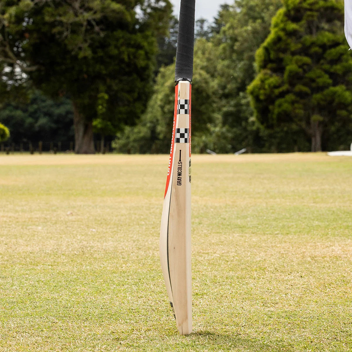 Gray Nicolls Legend Adult Cricket Bat