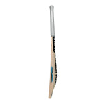 New Balance DC 600 Adult Cricket Bat 2026 – Grade 4 English Willow Cricket Bat
