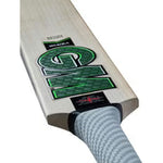 GM  Verva DXM LE TTNOW - Adult Cricket Bat