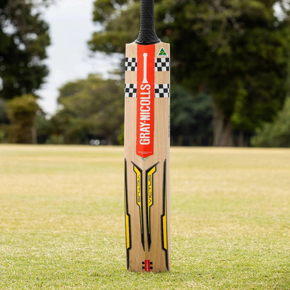 Bat 2000 Gray Nicolls Victus 2000 Adult Cricket Bat