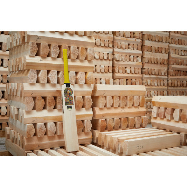 GM Ben Duckett Players Edition Adult Cricket Bat