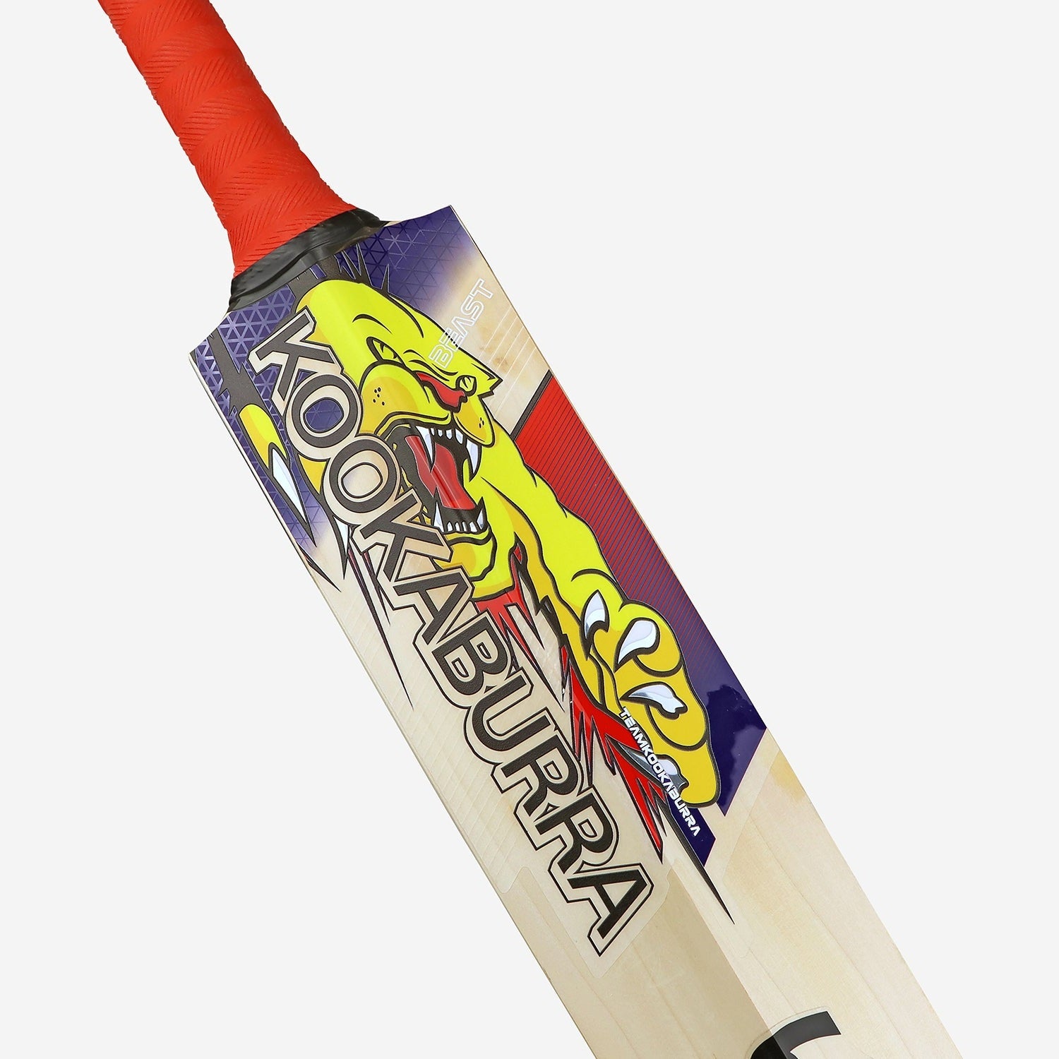 Kookaburra Beast Pro 6.0 Junior Cricket Bat