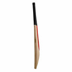 Gray Nicolls Cricket Bats Gray Nicolls 50th Anniversary Extra Special Adult Cricket