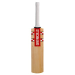 Gray Nicolls Cricket Bats Gray-Nicolls Super Cloud Catcher Cricket Bat Senior