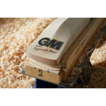Gunn & Moore Cricket Bats Academy GM Junior Cricket Bat Hypa DXM 404 TTNOW