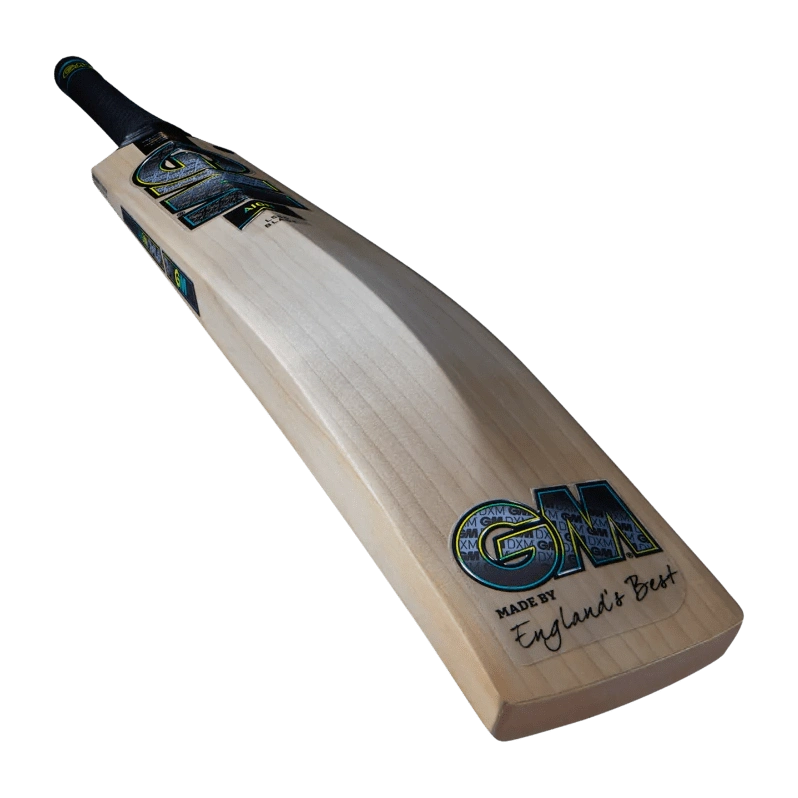 Gunn & Moore Cricket Bats Short Handle GM AION DXM 606 Adult Cricket Bat