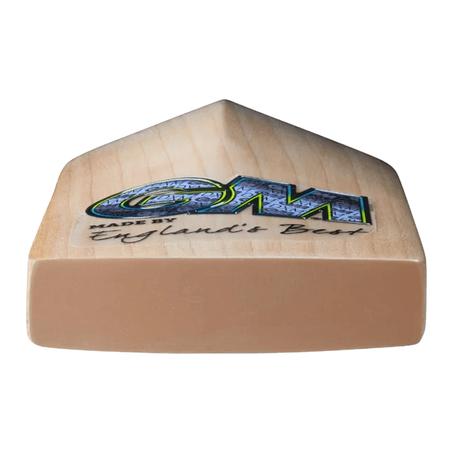 Gunn & Moore Cricket Bats Short Handle GM AION DXM 606 Adult Cricket Bat