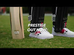 Gray Nicolls Prestige Adult Cricket Bat (Play Now)