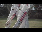 Gray Nicolls Nova Players Edition Adult Cricket Bat