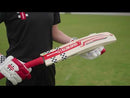 GN Astro Players Edition Adult Cricket Bat