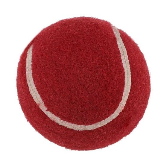Mini Cricket Racket SS Mini Cricket Set – Western Sports Centre