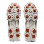 Asics Footwear Asics Gel 350 Not Out FF Spike Cricket Shoes