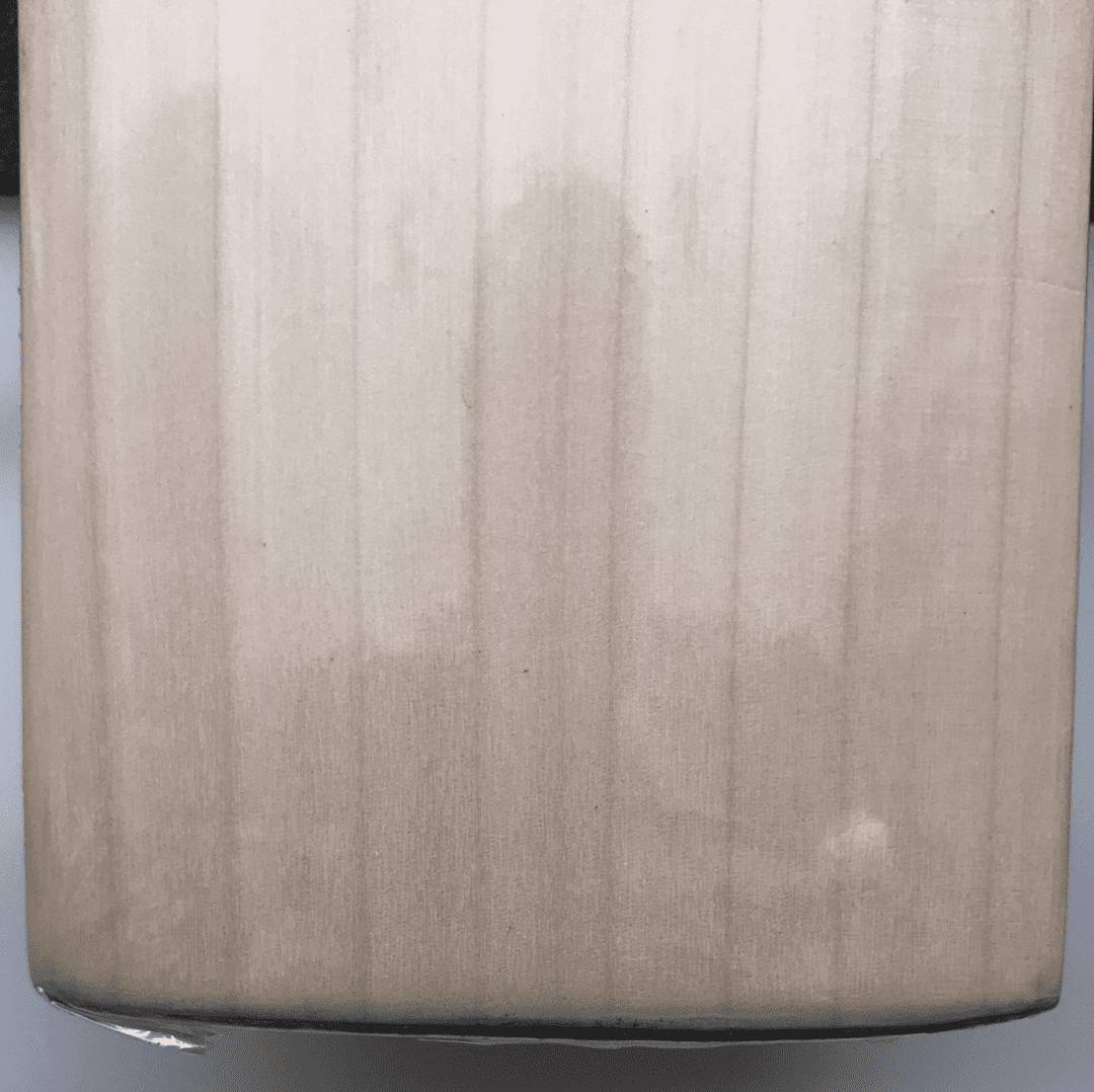 CA Cricket Bats Short Hand / 2'8 CA Morgs Edition 20k Cricket Bat Adult