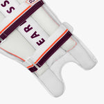 DSC Batting Pads Intense Passion Batting Leg Guard
