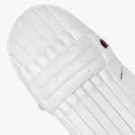 DSC Batting Pads Intense Passion Batting Leg Guard