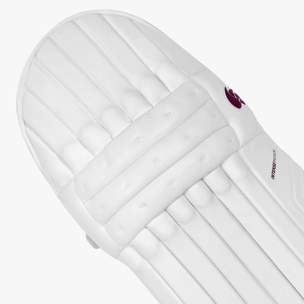 DSC Batting Pads Intense Passion Batting Leg Guard
