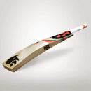 DSC Cricket Bats Short Hand DSC Intense Attitude Cricket Bat Senior
