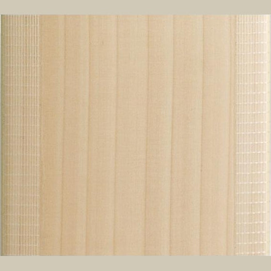 Gray Nicolls Accessories Gray-Nicolls Cricket Bat Bladetec