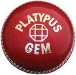 Gray Nicolls Cricket Balls White Platypus Gem 2pc 156g Cricket Ball