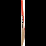 Gray Nicolls Cricket Bats Gray Nicolls Cobra 2500 Adult Cricket Bat