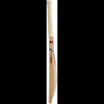 Gray Nicolls Cricket Bats Gray Nicolls Silver Junior Cricket Bat