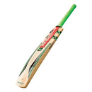 Gray Nicolls Cricket Bats Gray-Nicolls Velocity 900 Cricket Bat Junior