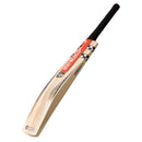 Gray Nicolls Cricket Bats Small Mens Gray-Nicolls Kronus 800 RP Cricket Bat Junior