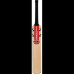 Gray Nicolls Cricket Bats Youth Gray Nicolls Delta XP Junior Cricket Bat
